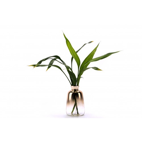 Duo - Glass Container