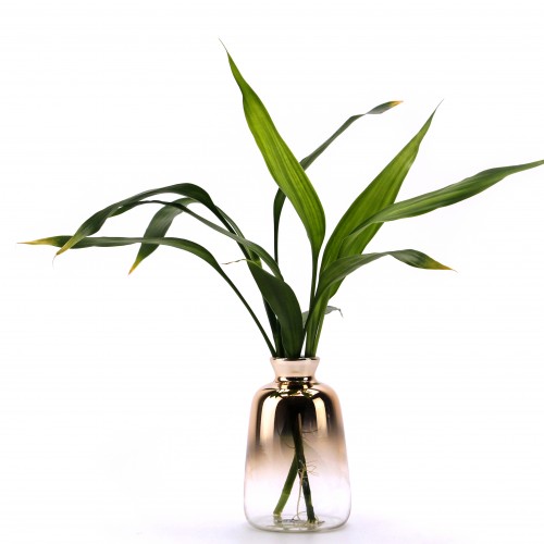 Duo - Glass Container