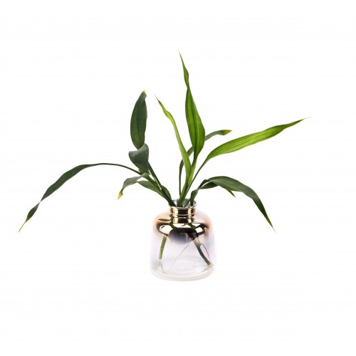 Duo - Glass Container