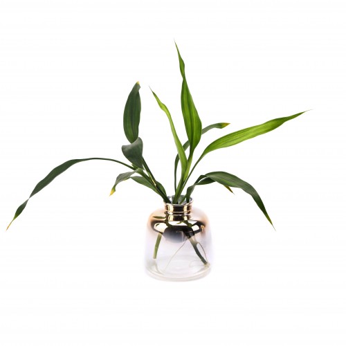 Duo - Glass Container