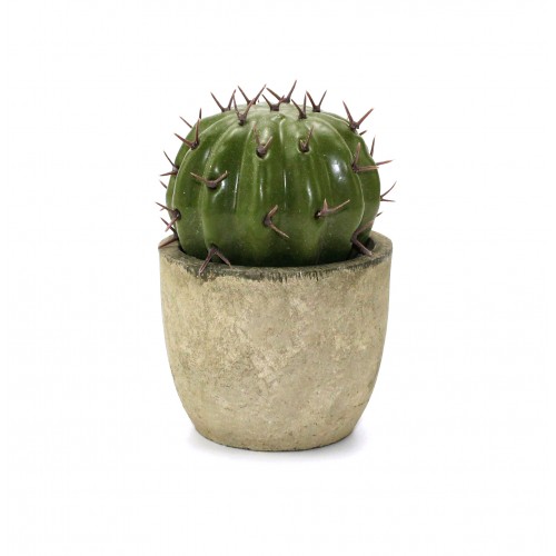 Planter Decor - Nature
