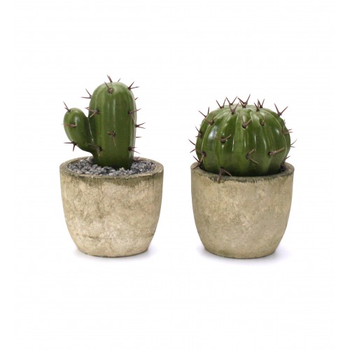 Planter Decor - Nature