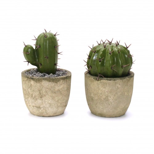 Planter Decor - Nature