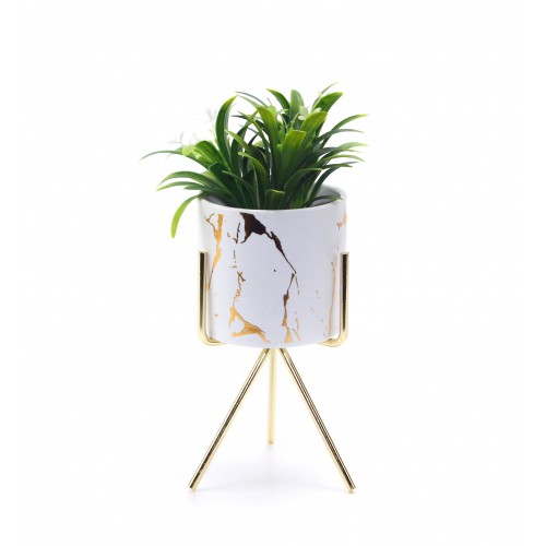 Mable Pattern Container