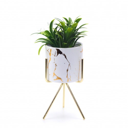 Mable Pattern Container
